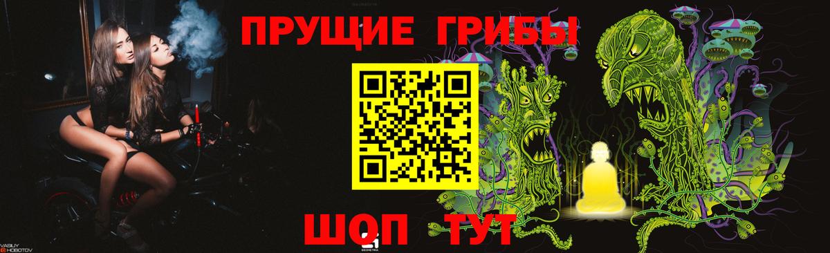 Псилоцибиновые грибы GOLDEN TEACHER  Вход с VPN  Ишимбай 